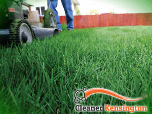 grass-cutting-services-kensington